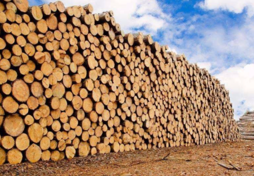 Timber supply exceeds demand on China-Russia express trains, and timber sales are losing